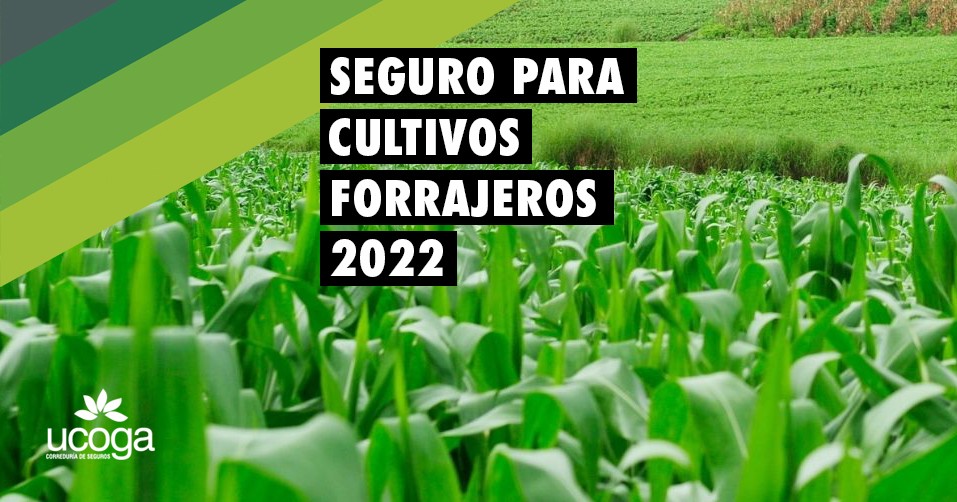 Seguro para cultivos forrajeros 2022